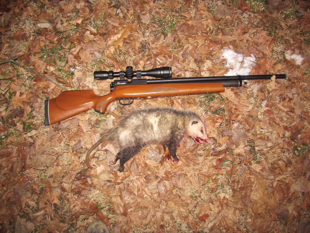 Woodrod Wilson strike again at 50 yards.