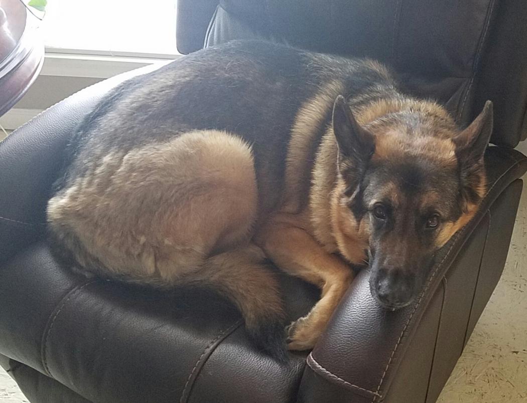 Stanley ~4 years old